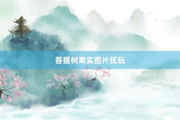 菩提树果实图片抚玩